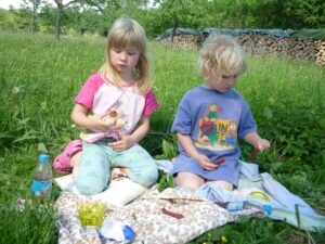 piknik-radom